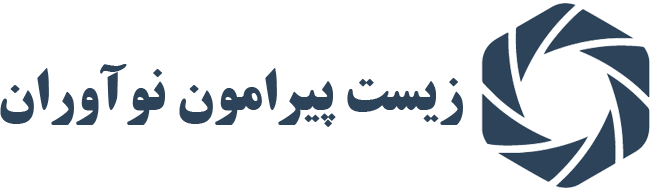 تولیدکننده توپ کنترل غبارو ارائه دهنده دیگر راهکارهای کنترل غبار