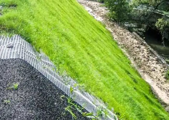 کنترل فرسایش با پوشش گیاهی