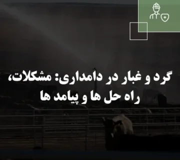 گرد و غبار در دامداری