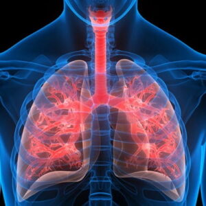 سیلیس کریستالی